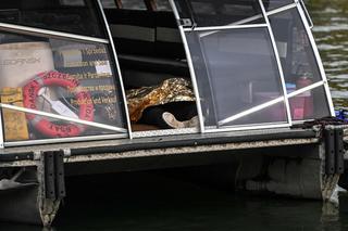 Tragedia na Motławie. Wśród ofiar kobieta w ciąży. Prokuratura przekazała nowe informacje