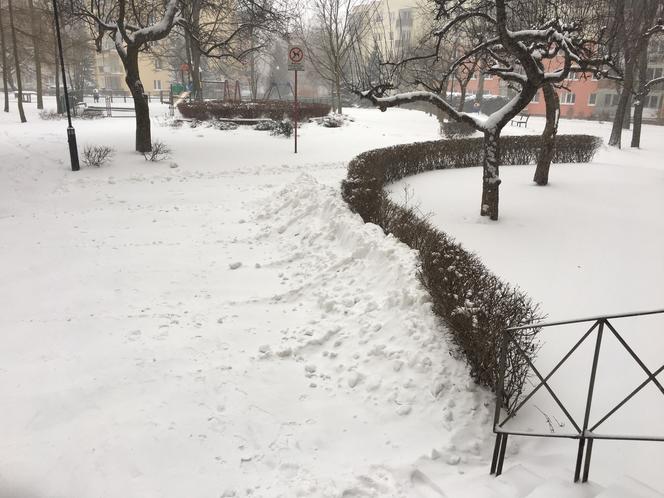 Zima na Czechowie