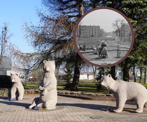 Skąd się w Tychach wzięły niedźwiadki? Poznaj historię słynnej rzeźby, którą kochają wszystkie dzieci