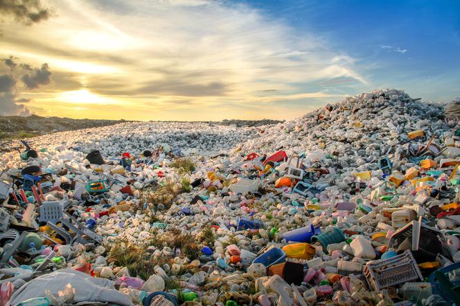 Śmieci, plastik, zanieszyszczenie środowiska
