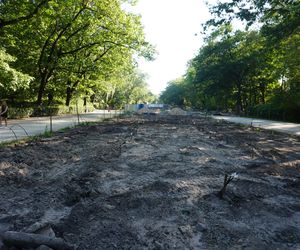 Rewitalizacja Parku Planty w Białymstoku latem 2025
