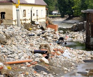 Burmistrz wyjechała na drogie wakacje, w tym czasie jej miasteczko zalała wielka fala. Nie wrócę