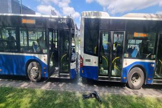 Kraków: zderzenie autobusów na al. Bora-Komorowskiego. Są osoby poszkodowane