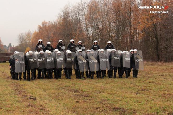 Konie służbowe śląskiej policji przeszły szkolenie. Musiały wytrzymać odgłosy wystrzałów czy ujadanie psów