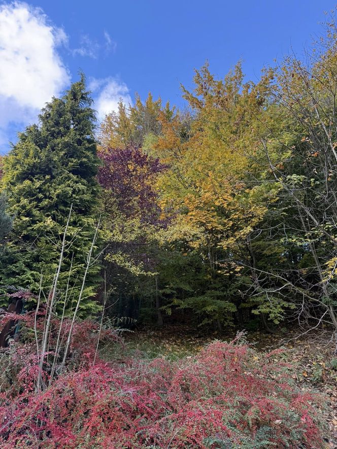 Szczyrk na jesiennych zdjęciach