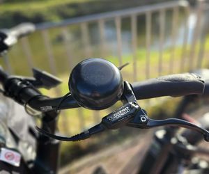 Nasz test rowerów cargo