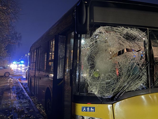 Wiązowna. Zderzenie autobusu z sarną 