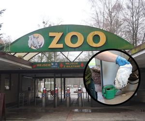 Bulwersujące odkrycie w poznańskim ZOO. Cały czas się zdarzają tego typu niespodzianki