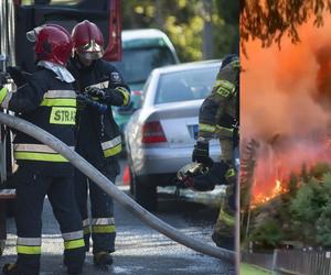 Polscy strażacy z policjantami będą gasić pożar w Czeskiej Szwajcarii! Pomogą tamtejszym służbom 