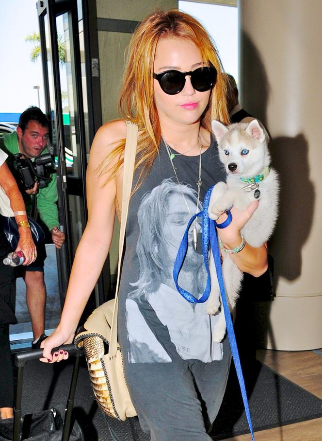 Miley Cyrus w koszulce Nirvany