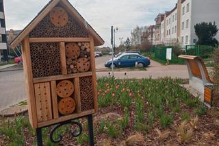 Skwer przy ul. Szczytowej w Lublinie