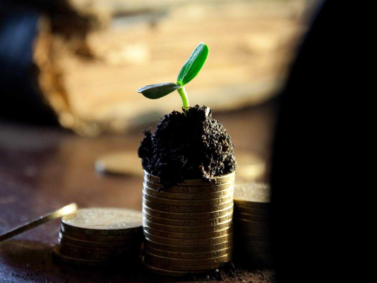 Są środki na własną działalność gospodarczą. Nawet 23 tysiące złotych!