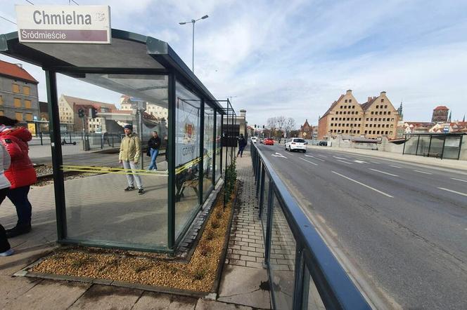 Chmielna się zazieleniła. To pierwszy w Gdańsku roślinny przystanek