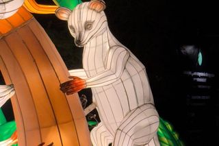 Garden of Lights w ZOO Wrocław