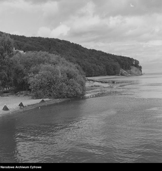 Polska potrzebowała portu. Gdynia im go dała! Archiwalne zdjęcia miasta