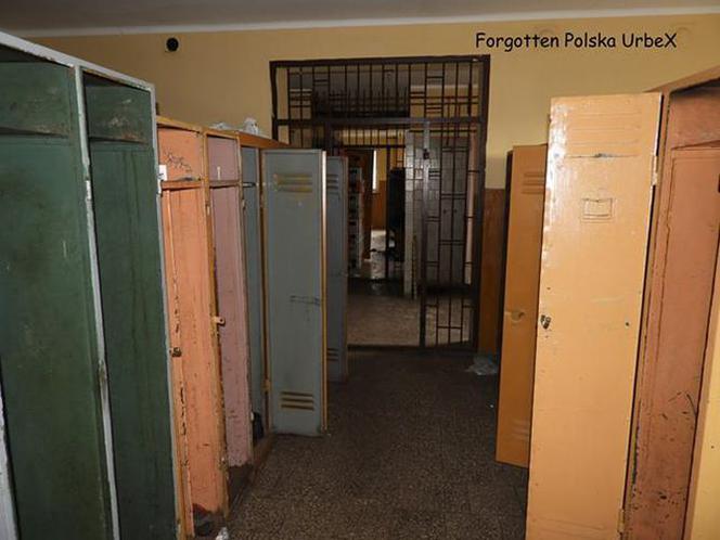 Opuszczony zakład KZPP w Koniecpolu. Stąd płyty pilśniowe wyjeżdżały na cały świat! [ZDJĘCIA]