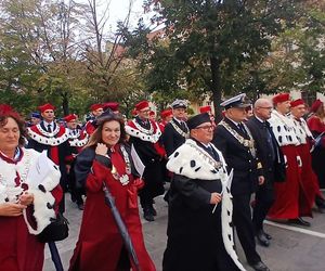 Spacerek na uniwerek w Szczecinie