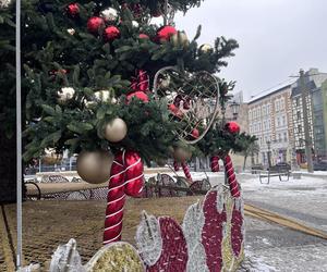 W centrum Gorzowa stanęła choinka! Jak wygląda?