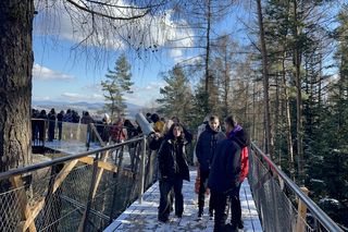 Ponad 600 osób dziennie odwiedzało w 2024 roku leśne molo[ZDJĘCIA, FILM]