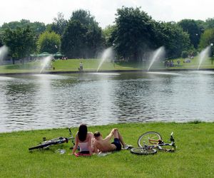 Grill, opalanie się, jazda na rowerze. Sprawdź, w których warszawskich parkach lepiej tego nie robić