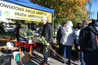 Zasadź drzewka razem z Dziką Iławą i iławskim starostwem