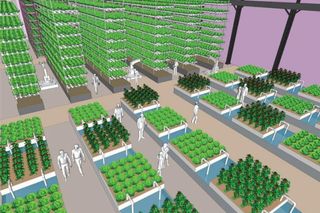 Ilustracyjny widok przestrzeni do uprawy roślin