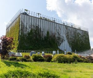 Tani urlop na Podlasiu? Sprawdź pewne sposoby na nocleg i jedzenie bez bankructwa