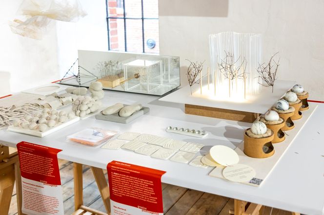 Łódź Design Festiwal 2025