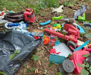 Zgroza w lesie pod Świeciem! Martwy pies w worku foliowym ze związanymi łapami. Policja szuka sprawcy bestialskiego czynu