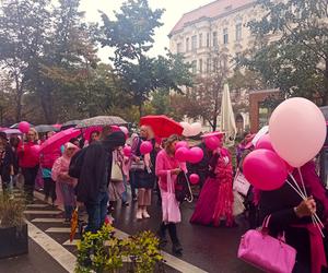 Marsz Różowej Wstążki w Szczecinie