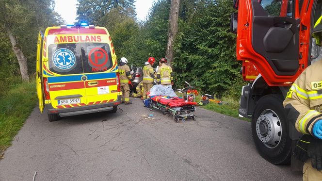 Samochód z czteroosobową rodziną uderzył w drzewo. Tragiczny wypadek na trasie Górowo Iławeckie – Kamińsk