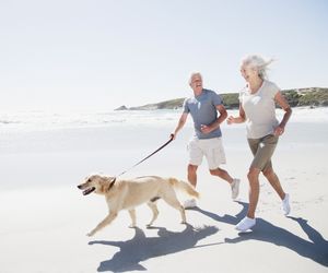 Właściwości i działanie witaminy D