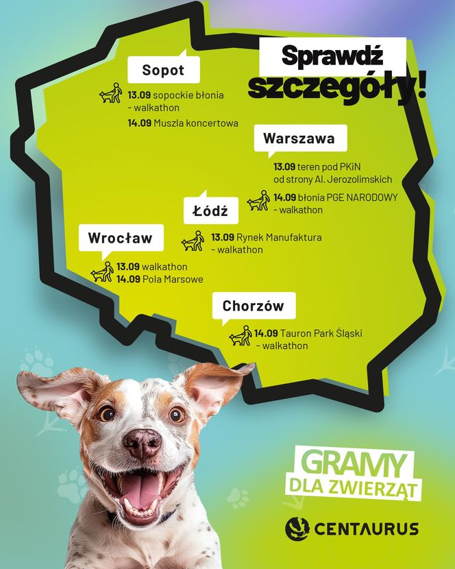 Gramy dla Zwierząt