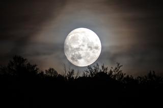 Brykający Księżyc 2020. Kiedy będzie go widać? Gdzie go obserwować?
