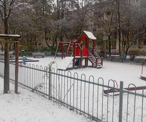 Pierwszy śnieg w Poznaniu w 2023 roku! Zobaczcie, jak wygląda Poznań w niedzielę 19 listopada