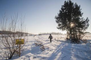 Goryl z kurczakiem przegnali myśliwych