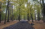 Park Lubomirskich w Białymstoku jesienią 