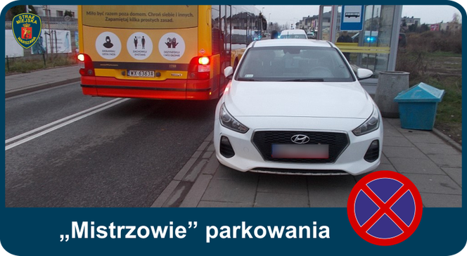 Mistrzowie parkowania. Tak kierowcy parkują w Warszawie