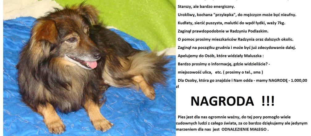 Rodzina szuka Małego! Widziałeś go?