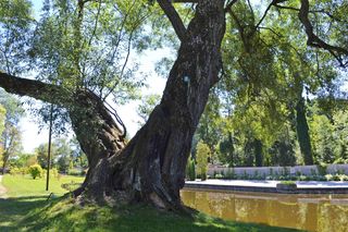Dom Urodzenia Fryderyka Chopina i Park w Żelazowej Woli