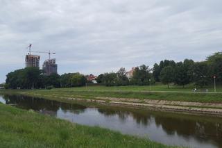 Mieszkańcy Rzeszowa posadzili nowe drzewa. Dadzą cień i zazielenią przestrzeń! 