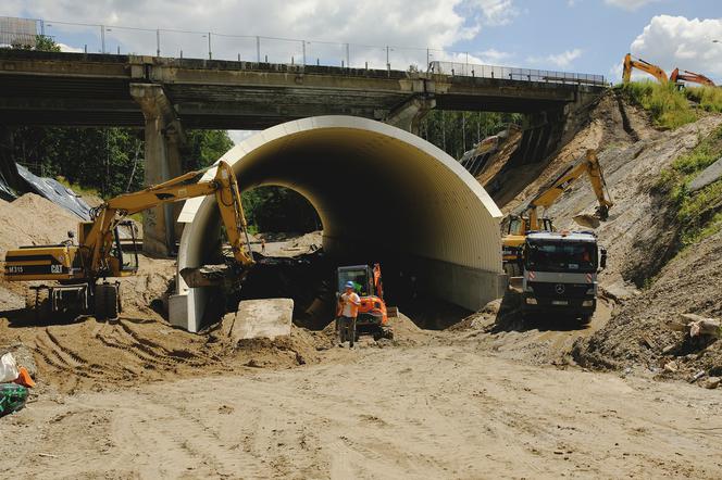 źródło: UM Katowice, materiały prasowe