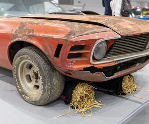  Czerwone ferrari warte 2,5 miliona euro w Poznaniu.