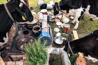 Farma 4: może już pakować walizki. Nikt nie ma wątpliwości, jak skończy się pojedynek