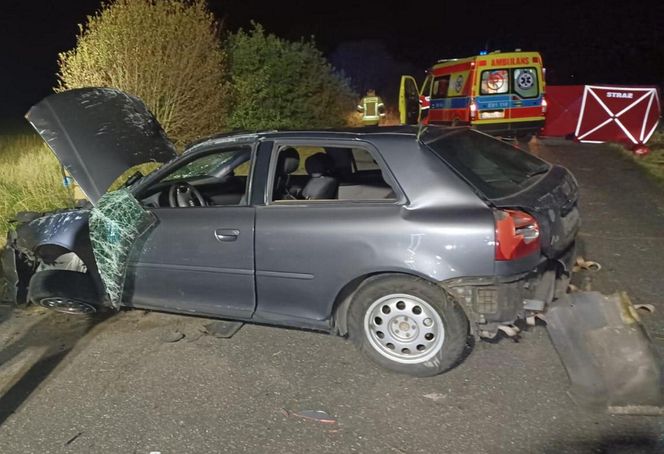 Śmiertelny wypadek pod Bełchatowem. 36-letek zderzył się z sarną [ZDJĘCIA].