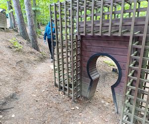 Zaczarowany ogród Alicji w Krainie Czarów i ścieżka spacerowa w lesie. Leśny Ogród Botaniczny Marszewo