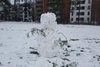 Pierwszy zimowy dzień tej jesieni w Lesznie