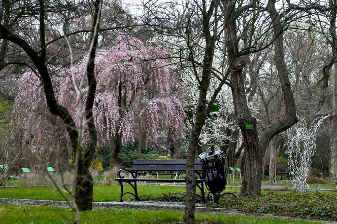 Najpiękniejszy ogród botaniczny w Polsce znów otwarty dla gości. Przygotuj się na widoki jak z bajki 