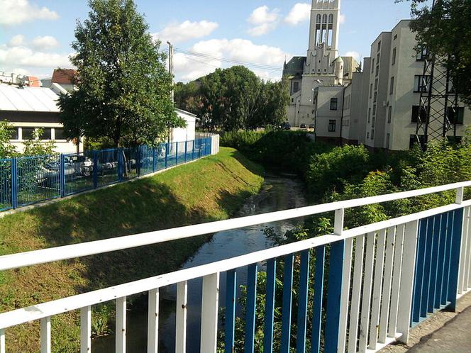 Kośminek