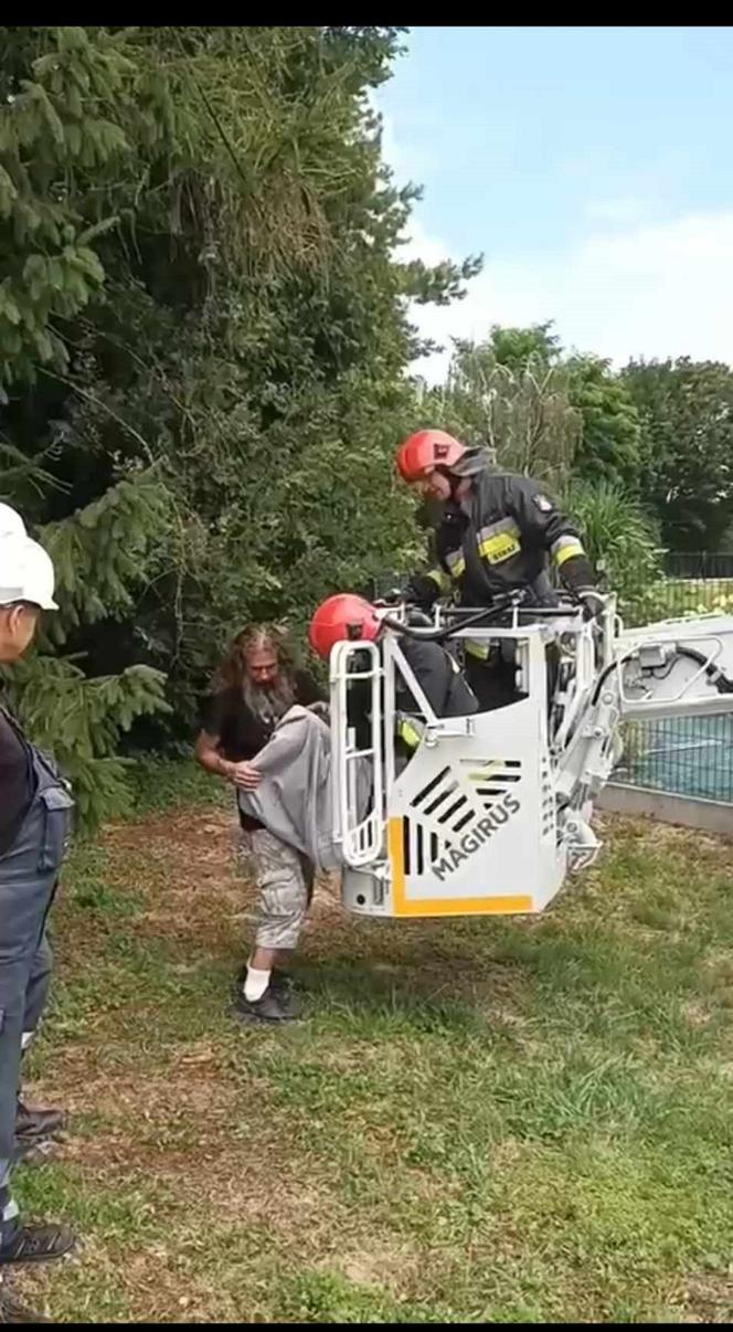 Strażacy z Przemyśla uratowali bocianie pisklę, którego mama zginęła